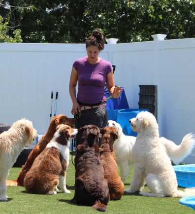 Jocelyn Guillemette, a Dog Trainer at The Barking Dog in Hooksett, NH